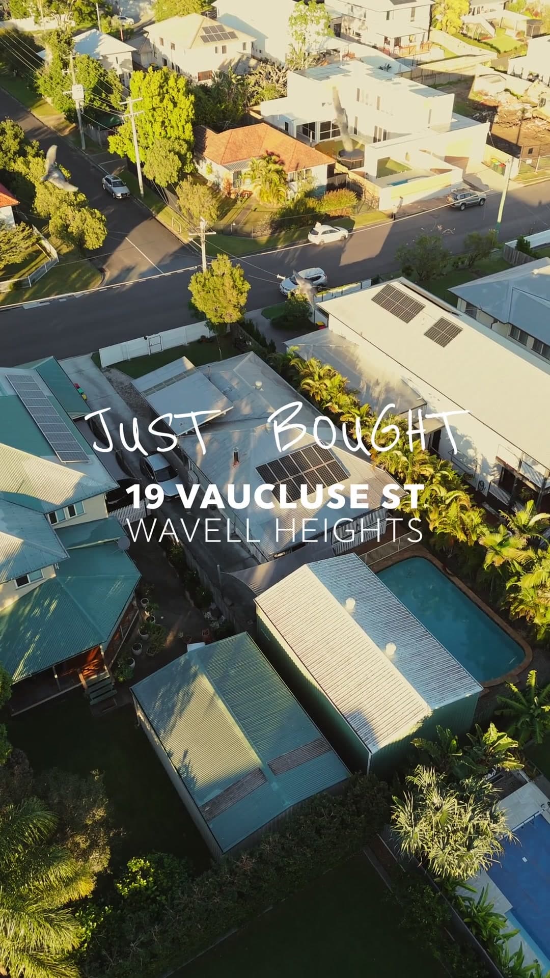 Video: the just-bought moment at Vaucluse Street, Wavell Heights